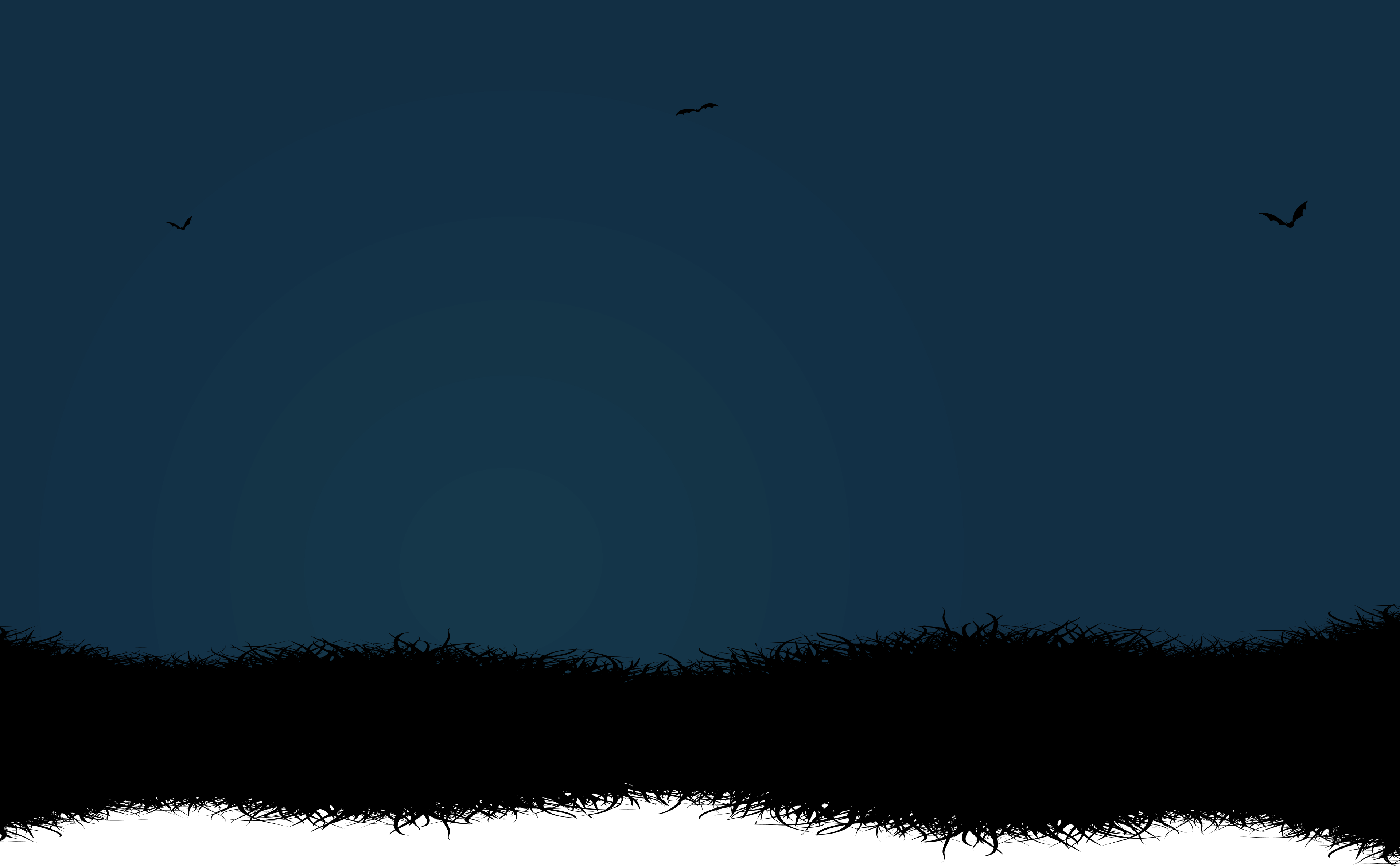 custom-stud-banner-image-desktop