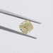 [Cushion Diamond in a Tweezer]-[Ouros Jewels]