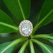 [Front View of Oval Halo Diamond Ring]-[Ouros Jewels]