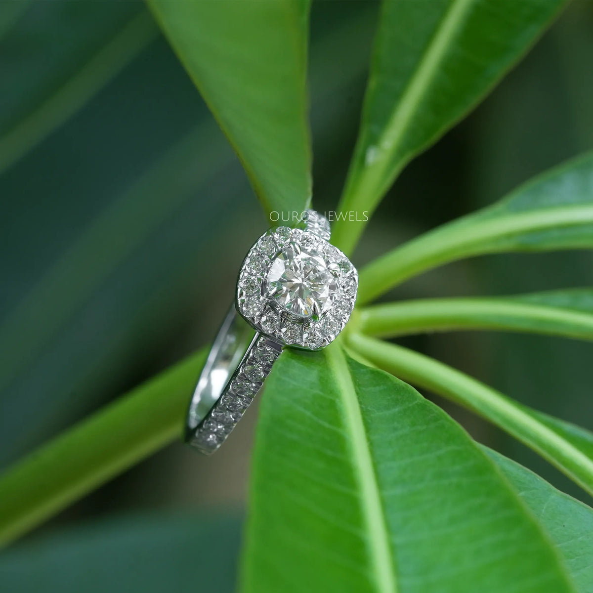 Round Cut Halo With Accent Diamond Ring Ring