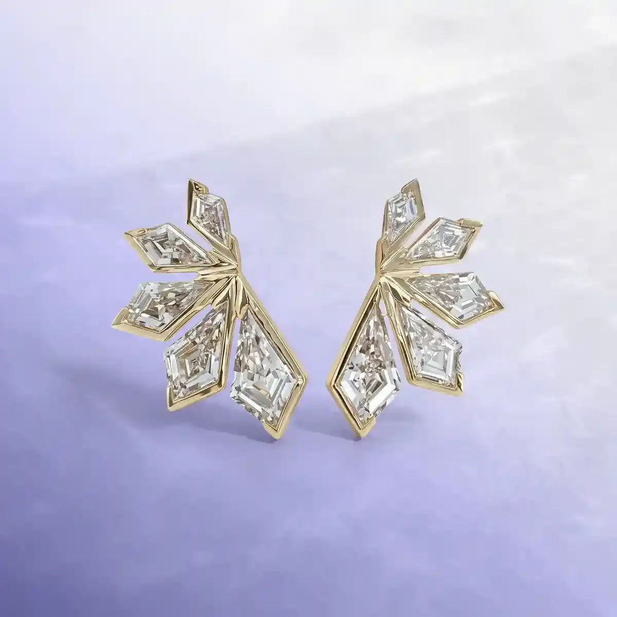 Next Day Ship Earrings